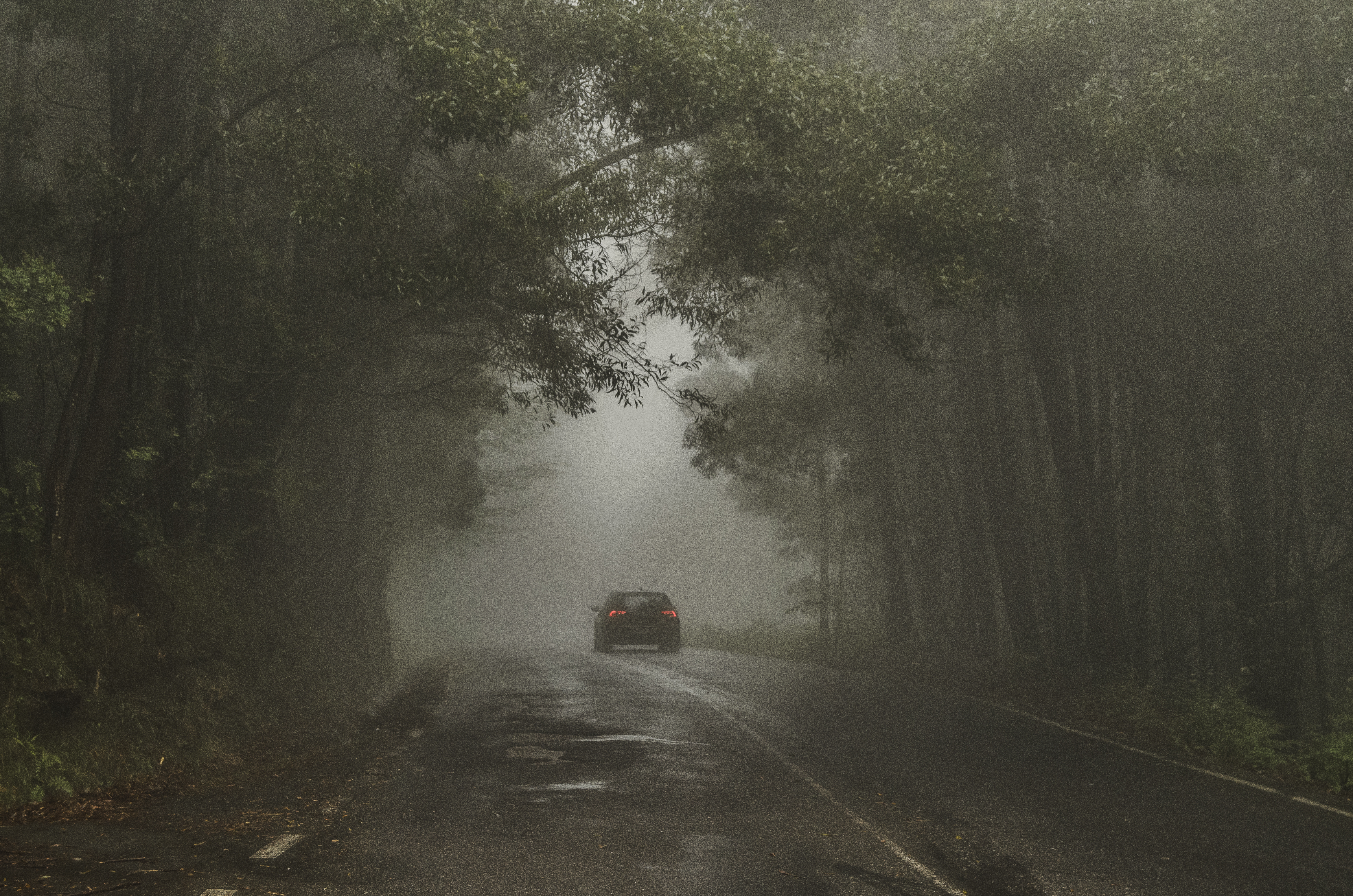 Profili serijskih ubojica, 2. sezona